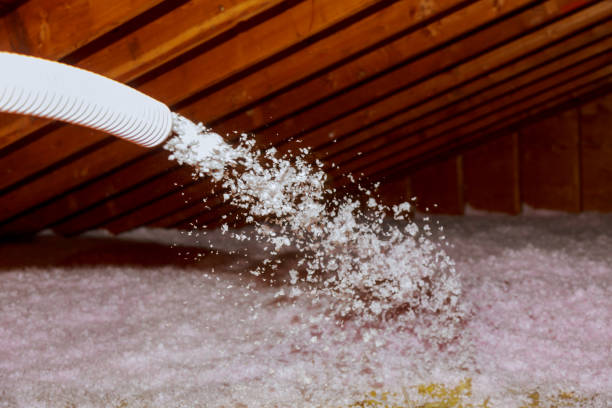 Best Cellulose Insulation  in Hardeeville, SC