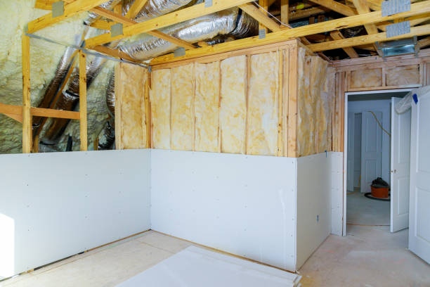 Best Insulation Removal  in Hardeeville, SC