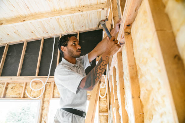 Best Professional Insulation Contractor  in Hardeeville, SC