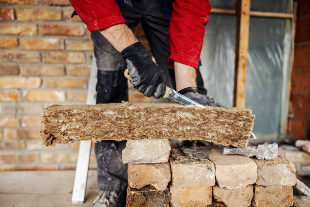 Best Insulation Contractors for Homes  in Hardeeville, SC