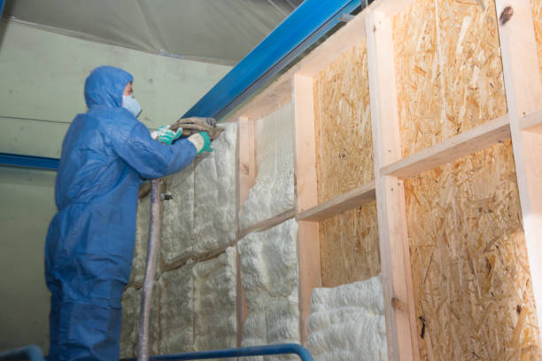 Best Insulation Contractor Near Me  in Hardeeville, SC