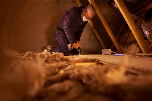 Best Local Insulation Services  in Hardeeville, SC